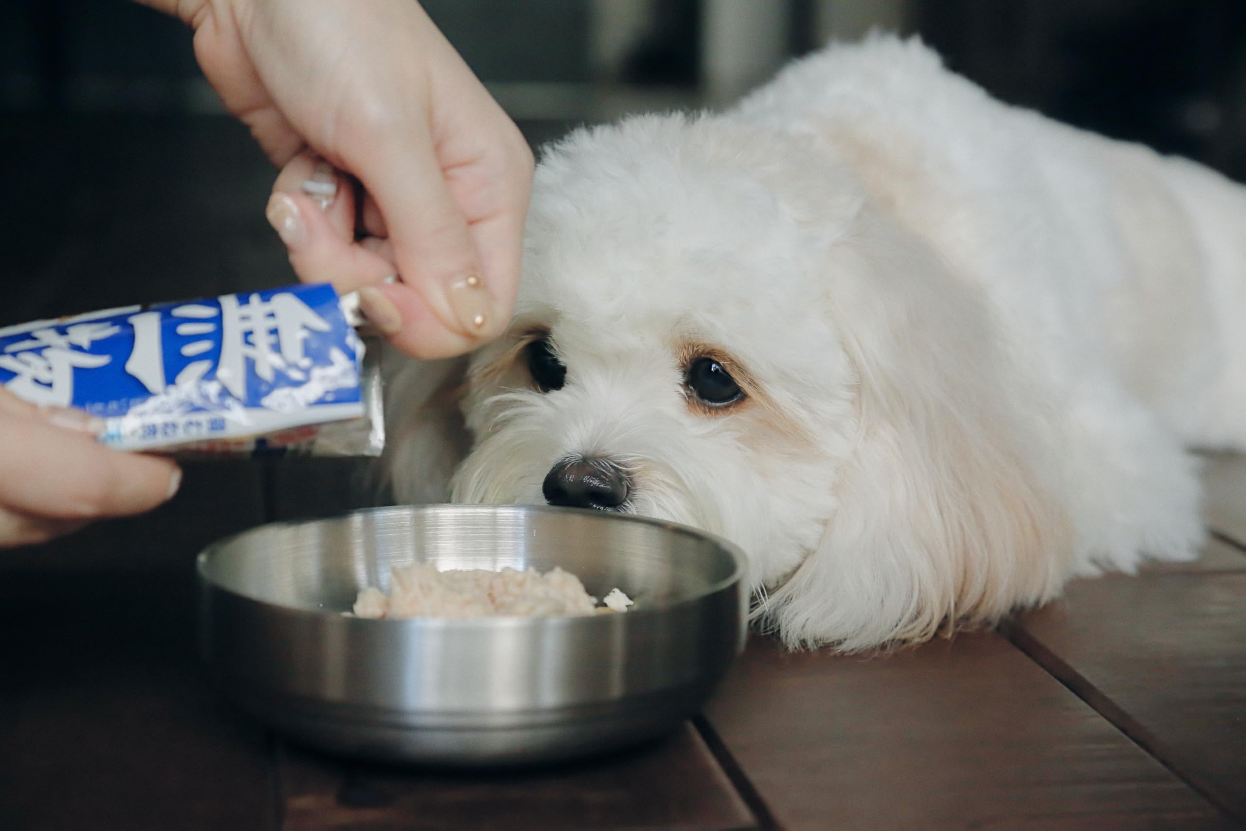 Amazon.co.jp: はごろも ドッグフード (国産) 愛犬用 無一物 パウチ 鶏