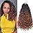 Beverlee Boho 8 Pack Goddess Box Braids 14 Inch Bohemian Crochet Hair with Curly Ends Pre-looped Synthetic for Black Women