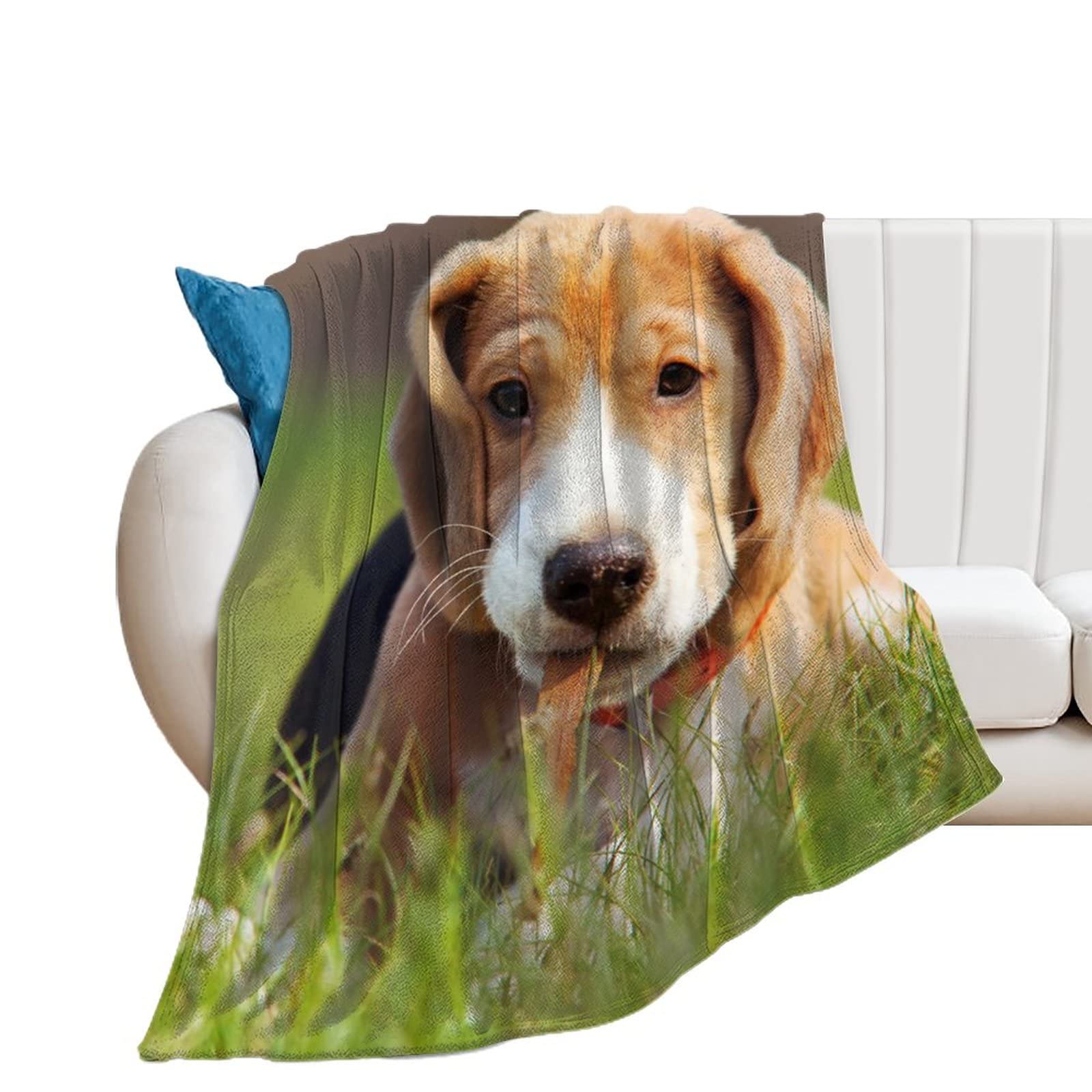 Couverture polaire chiot marron plaid de canapé pour vos soirées