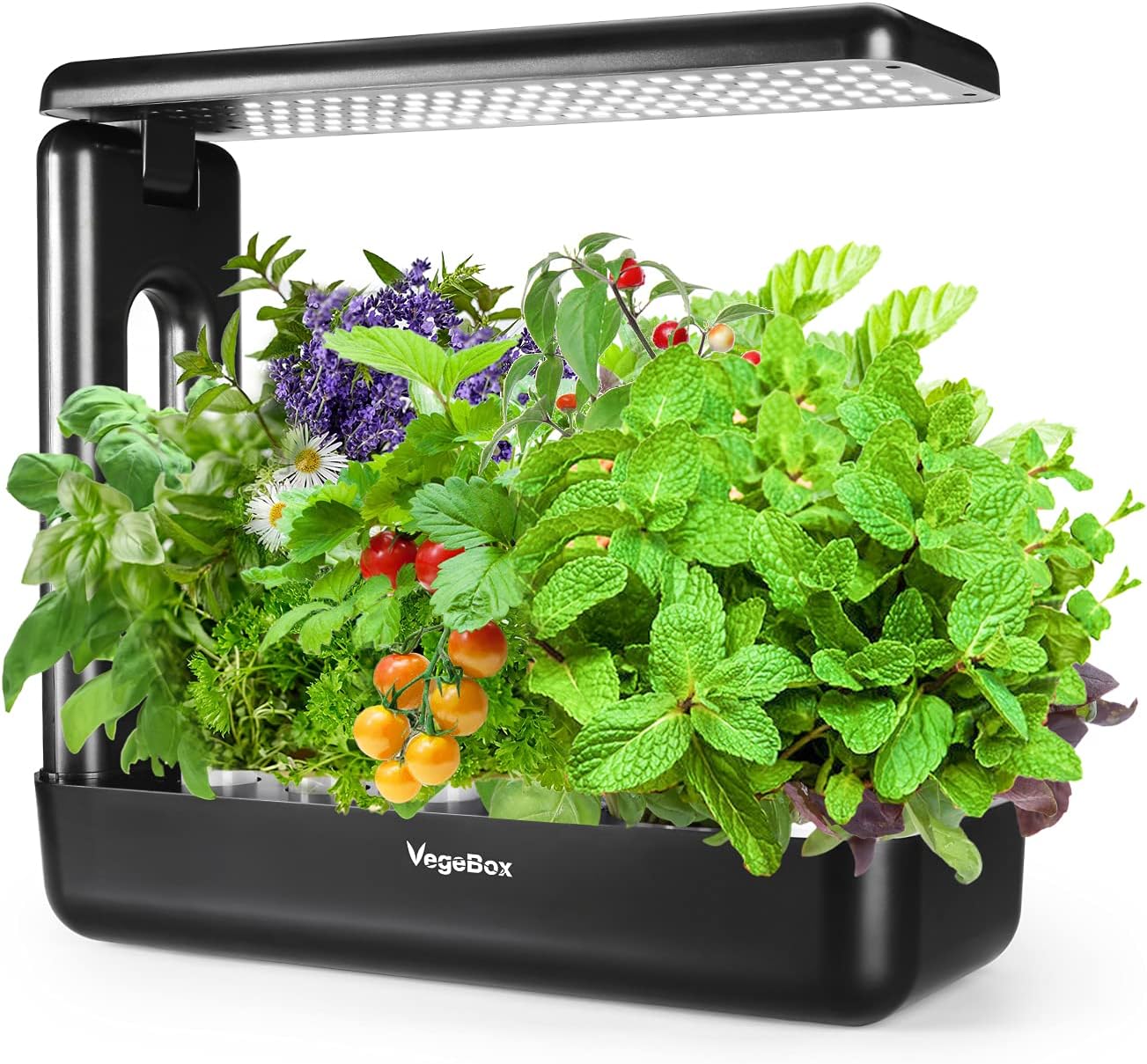 VegeBox Hydroponics Growing System - LED Growing Lighting Lamp, Indoor Herb Garden, Kitchen Vegetable Plant Germination Kits 12 Planting Pods, Black