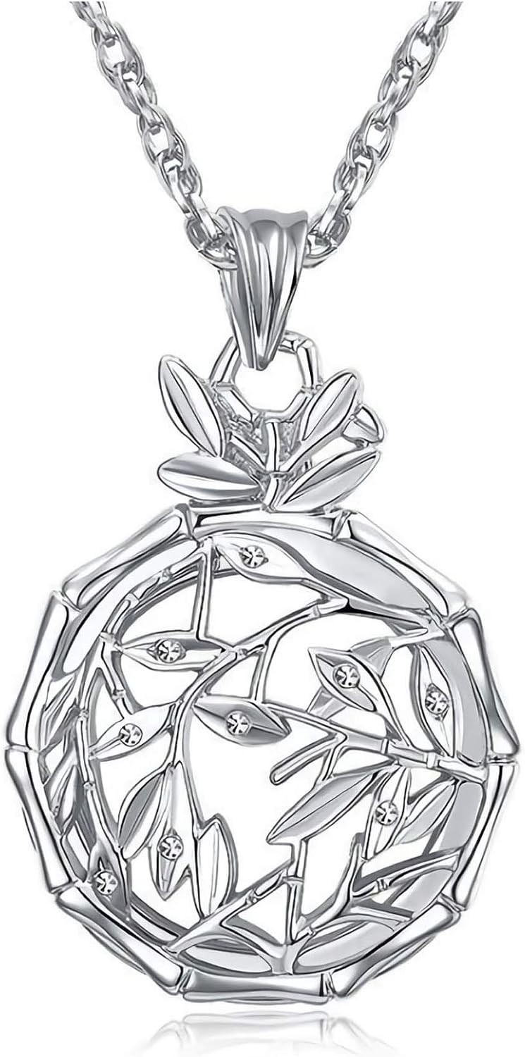 Magnifying Glass NecklaceMagnifying Glass Pendant 3XEuropean and American Lady Pendant Reading Accessories Books Lover Glass Pendant Jewelry Magnifying Glass Necklace Handheld Reading Magnifier,Silve