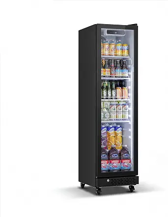 Yeego 6.9 Cu.Ft Commercial Refrigerator with Double-Layer Glass Door