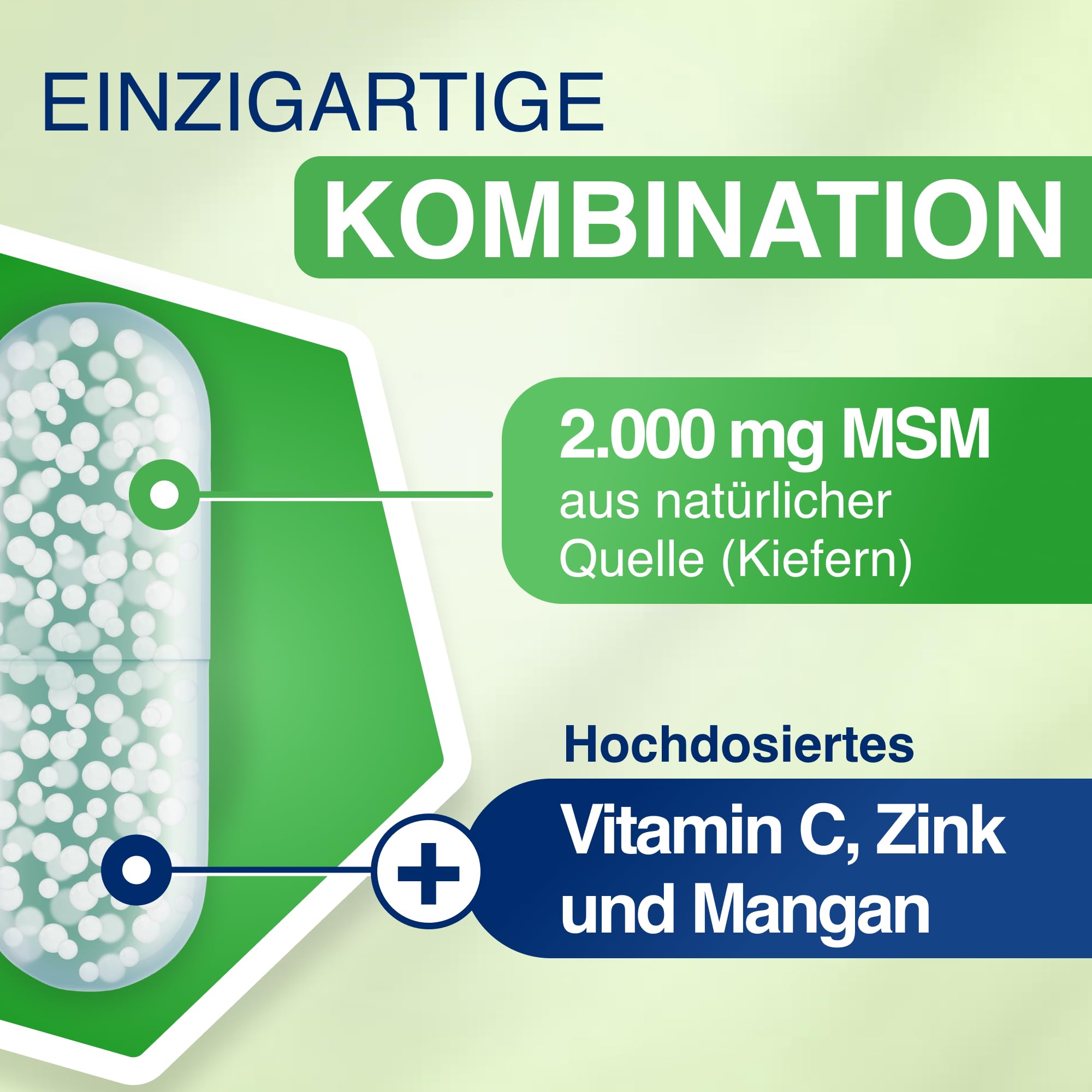 Gelencium MSM Plus hochdosiert – 2.000 mg MSM aus Kiefern – 120 Kapseln | Mit Vitamin C für die Kollagenbildung (Knorpel & Knochen) · 2.000 mg MSM aus Kiefern pro Tagesdosis · Plus Zink & Mangan