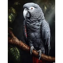 QAZWSX African Grey Parrot 5D DIY Art Diamond Art Perfect for Home Wall Decor Diamond Art Painting Kits for Adults Canvas 12x16 Inch
