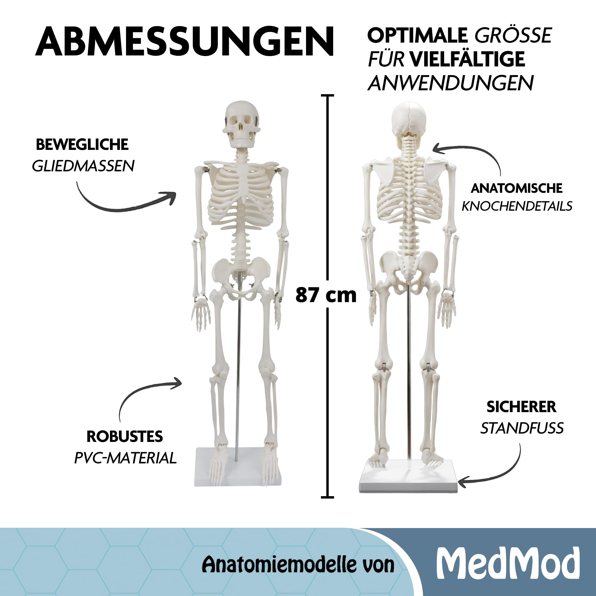 Anatomie Skelett 87 cm, detailliertes menschliches Skelett aus Kunststoff mit beweglichen Extremitäten, für Schule, Studium und Anatomie-Training, Lehrmodell