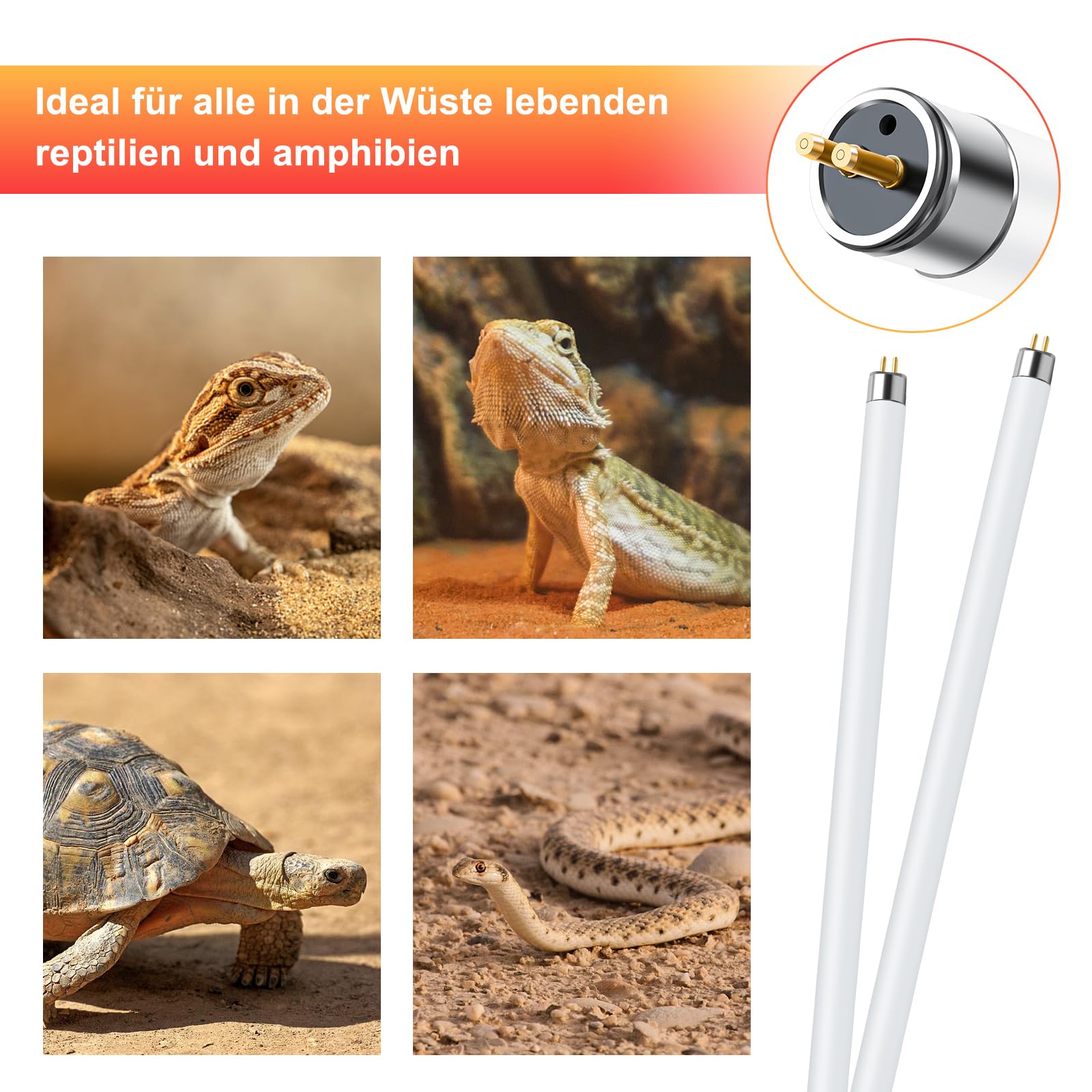 LUCKY HERP T5 UVB Lampe Terrarium, UVB 10.0 Reptilien Leuchtstoffröhre 8W-2stück, UVA UVB Terrarium Lampe für Eidechsen, Schildkröte, Chamäleon, Leopardgecko