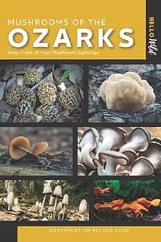 洋書 Mushrooms Common Mushrooms of the Northwest: Sept, J. Duane
