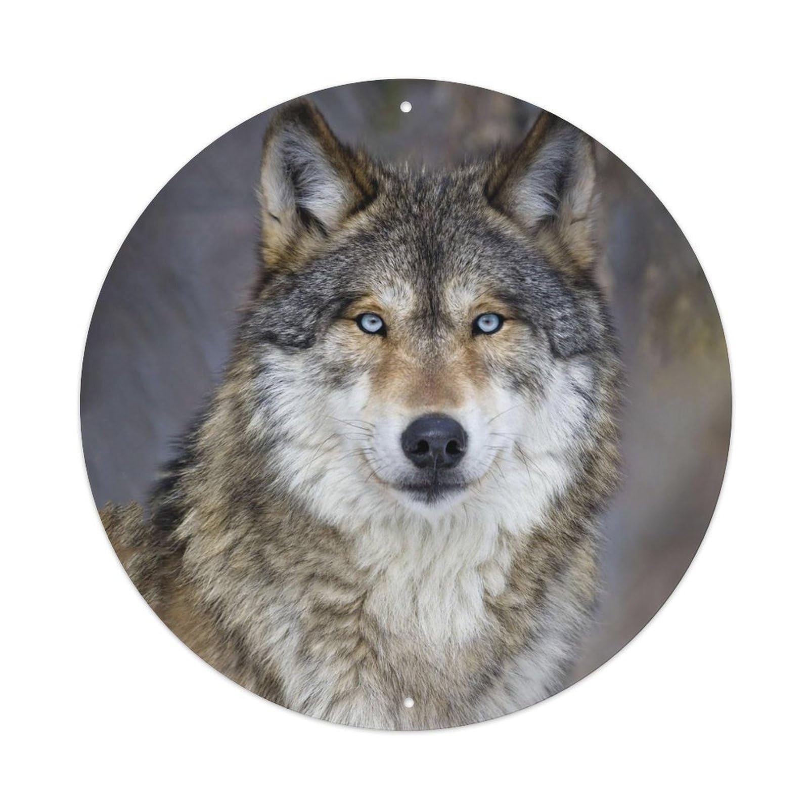 Grey Wolf Wildlife Forest Predator Vintage Metal Tin Sign