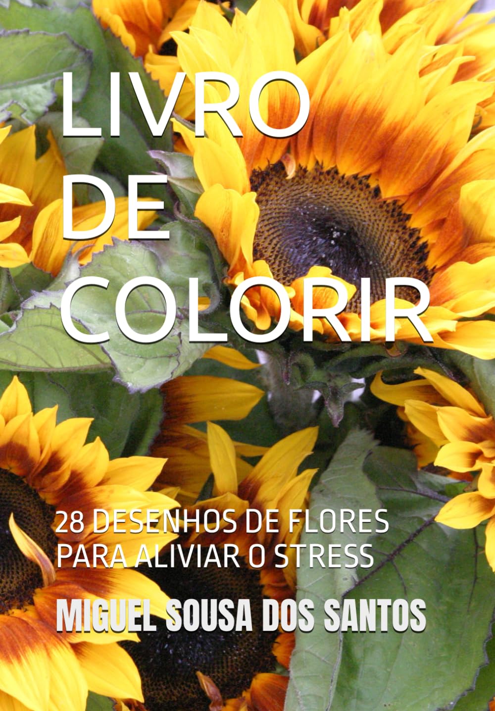 LIVRO DE COLORIR: 28 DESENHOS DE FLORES PARA ALIVIAR O STRESS