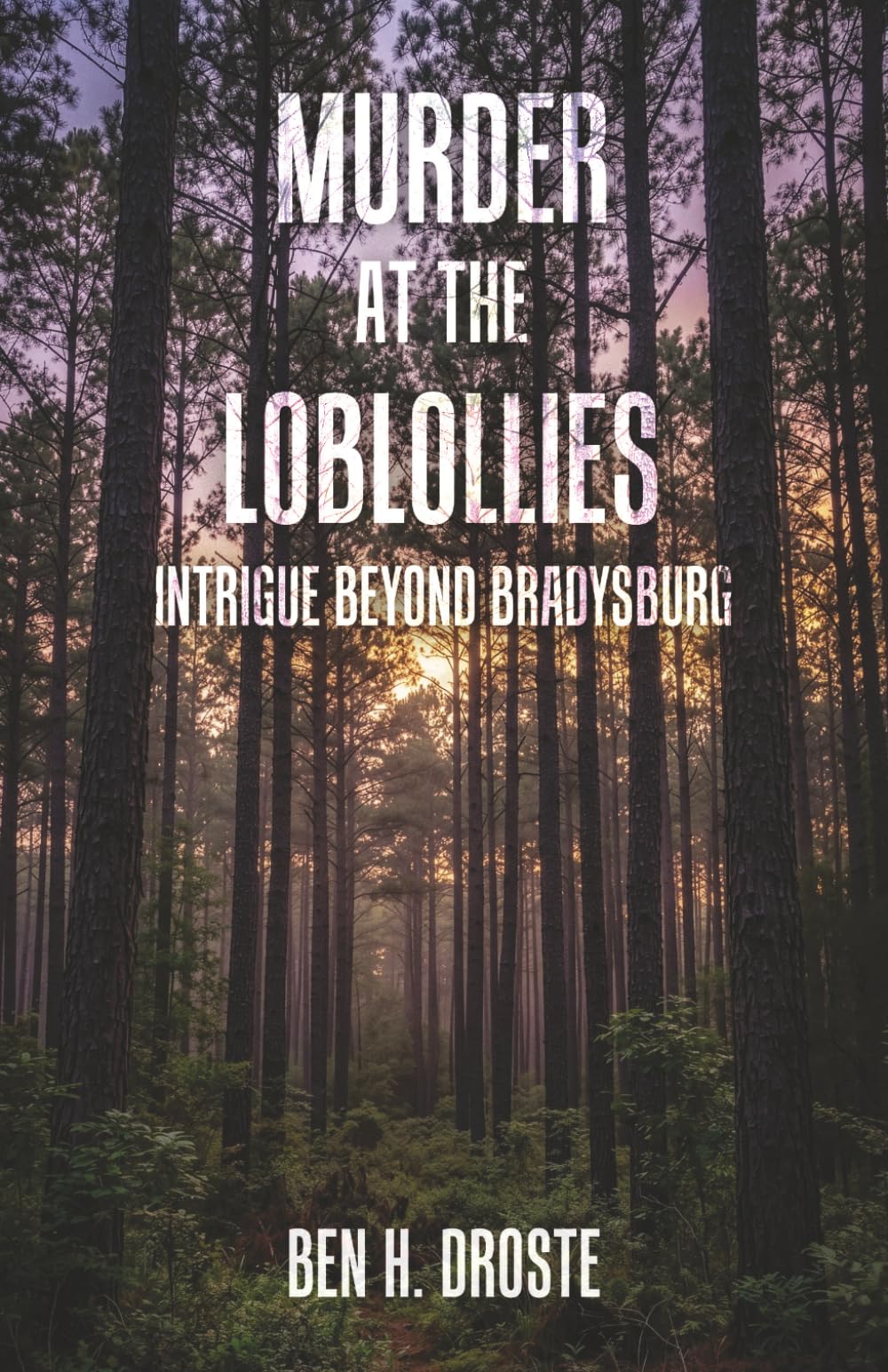 Murder At The Loblollies: Intrigue Beyond Bradysburg