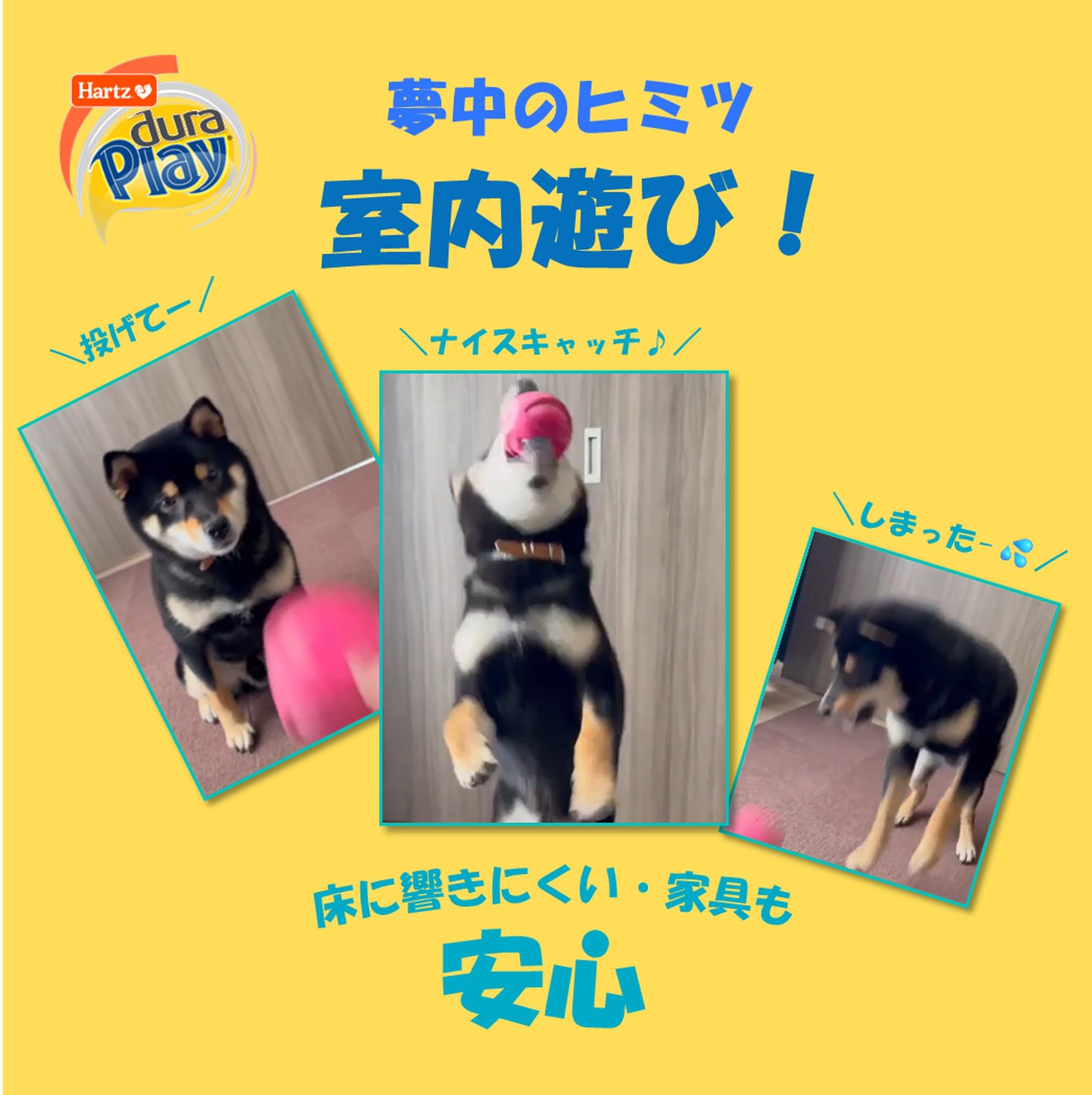 Amazon | ハーツ (Hartz) デュラプレイ ボール Sサイズ 3色セット 犬用