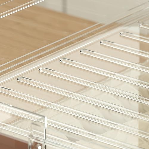 Miniatura 9 de Contenedor de almacenamiento de alimentos, caja transparente para conservación de alimentos con tapas, organizador de albóndigas, para cocina y