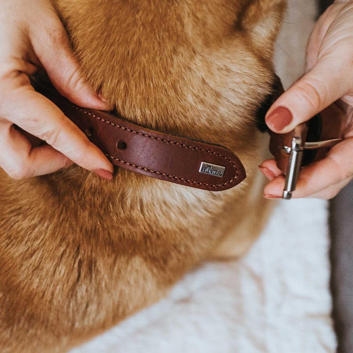 HUNTER 68556 - Collar EL Paso, 151 g