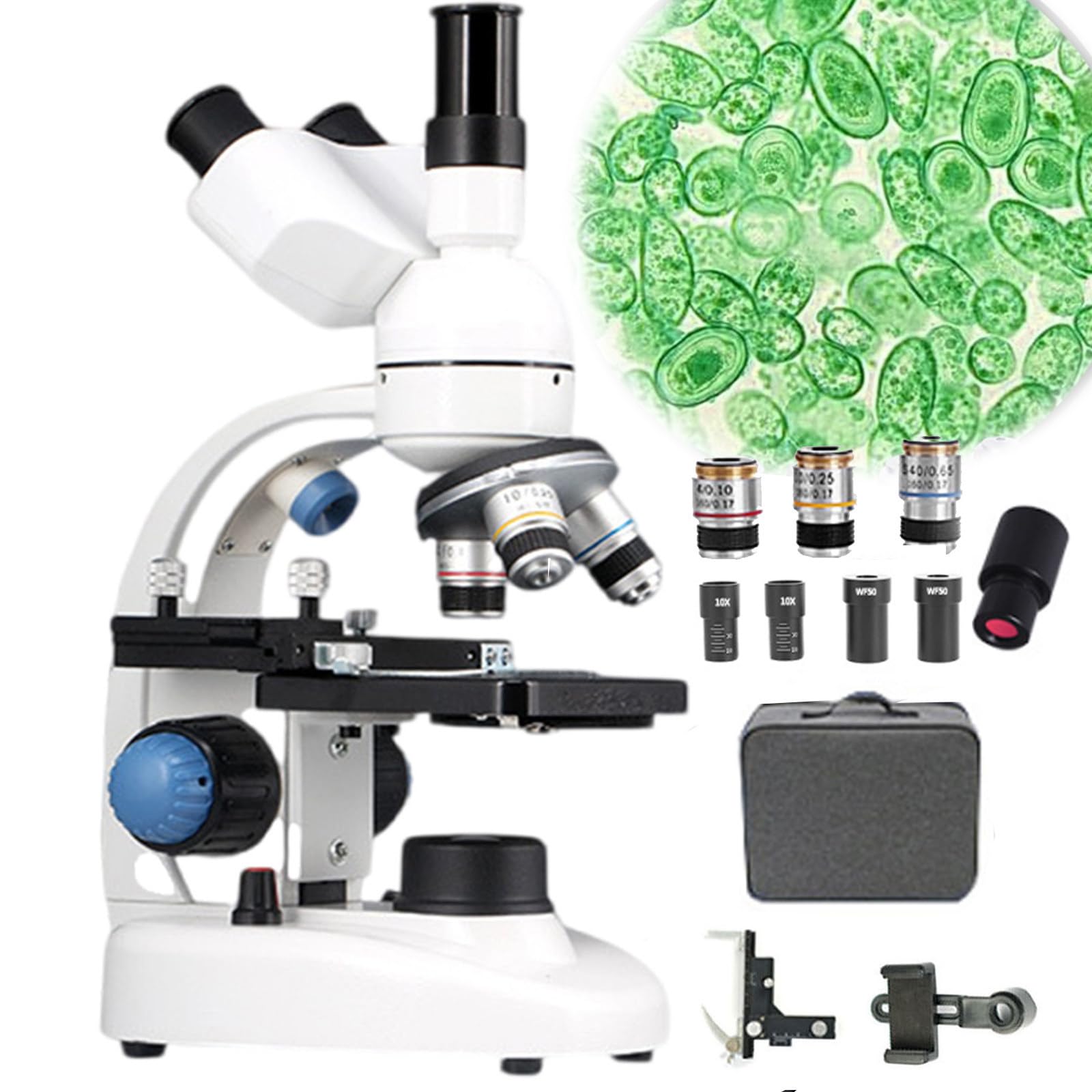 Trinokulares Mikroskop,40-30000x/50000x/70000x Trinokular-Comp, Labor-Verbundmikroskop, Mechanischer Tisch + UltrapräZise Fokussierung+Elektronisches Okular, FüR Aquakultur/Bildung/Chemie,50000X