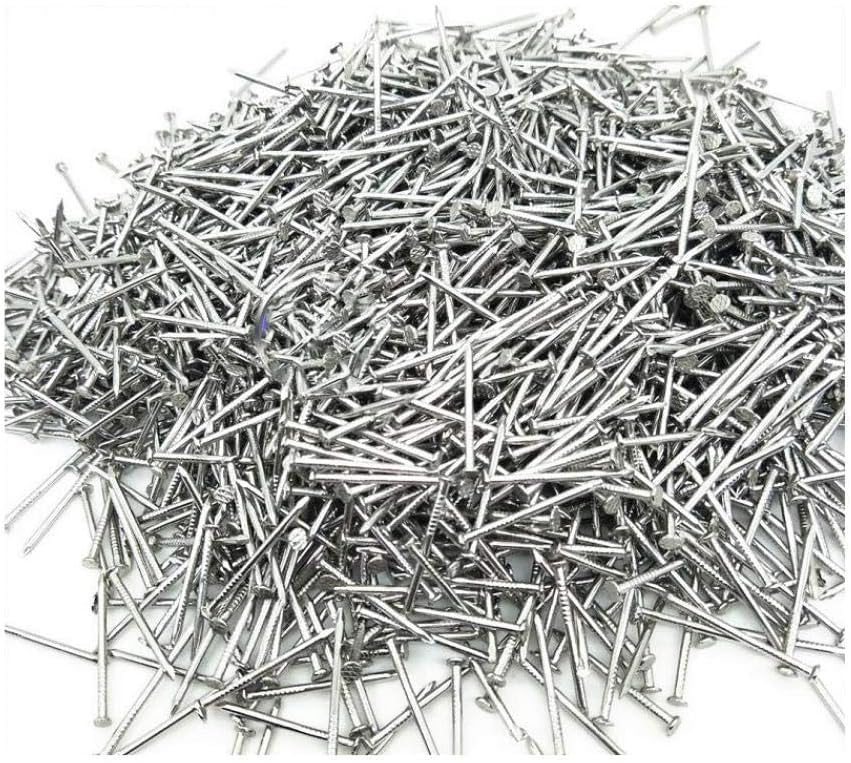 Clavos surtidos para madera, pasadores, clavo redondo de acero inoxidable 304, clavo de hierro, clavo para carpintería, 500g-75mm (Color: 20mm) miniatura 1
