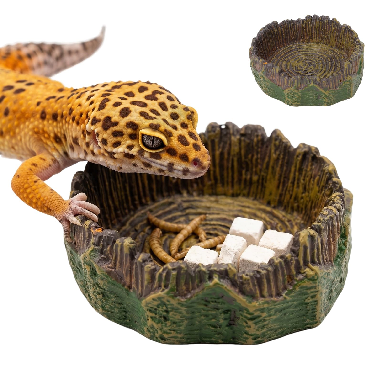 Cuenco de agua, terrario, cuenco de agua, reptiles, comedero para reptiles, terrario, tocón de árbol realista, decoración de terrario, 2 unidades para gecko, barba, lagarto, tortuga, hábitat