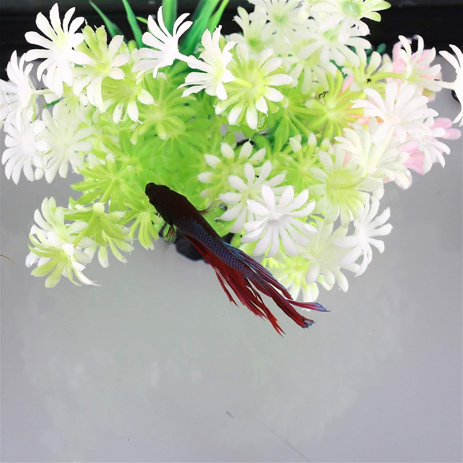 未開封 にゃんにゃんにゃんこ ストラップ 32個セット にゃんにゃん