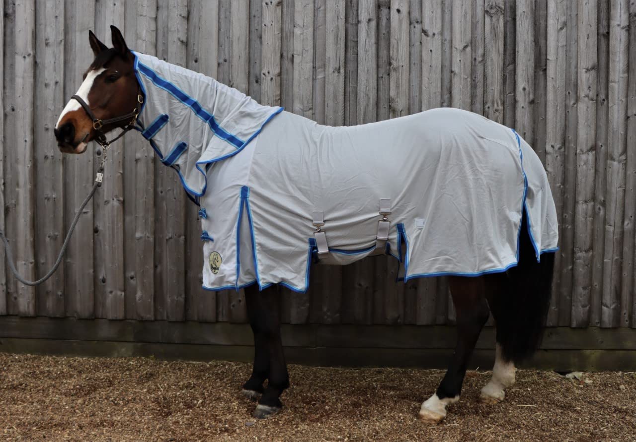 Ruggles Standard Fly Rug With Detachable Neck for Horses and Ponies | Lightweight Breathable Mesh | Excellent Protection from Flies, Bugs and Biting Insects (7')
