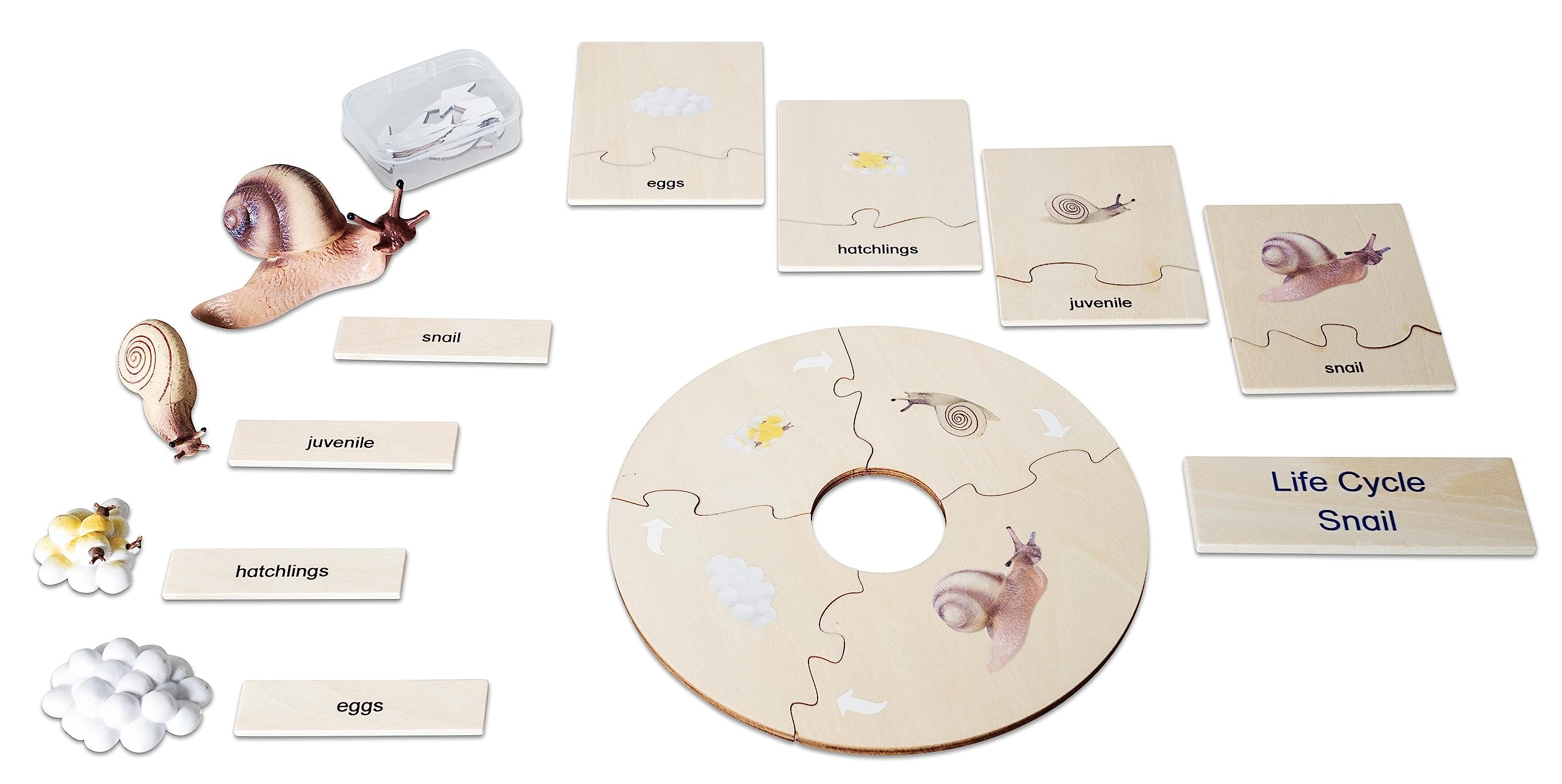 Betzold Lebenszyklus Schnecke - Holz-Puzzle Figuren Textkarten Deutsch & Englisch