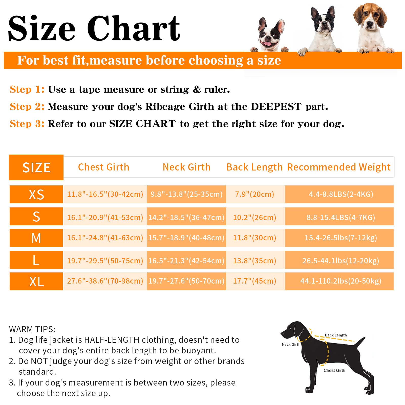 Dogcheer Gilet de sauvetage pour chien requin - Gilet de sauvetage réglable avec poignée de sauvetage - Pour chiens de petite, moyenne et grande taille