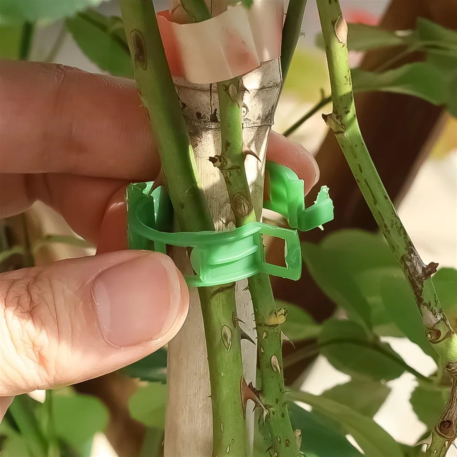 Mollette di sostegno per piante da giardino, Clip di supporto for piante in PP riutilizzabili for piante rampicanti Multicolor 10-100 Pz(Transparent,50 PCS)