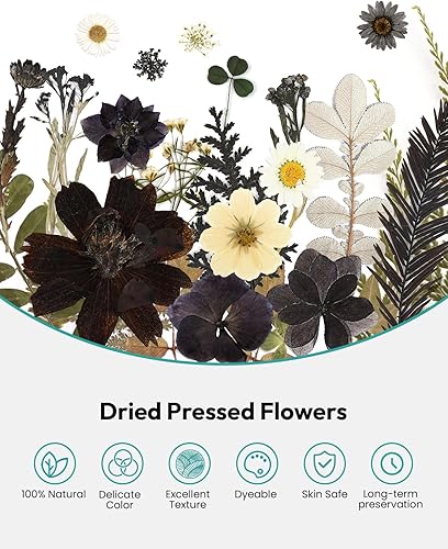 Vista 65 de Resiners - Flores secas, 100 piezas de flores prensadas para manualidades, color amarillo, flores secas naturales, kit de hojas secas