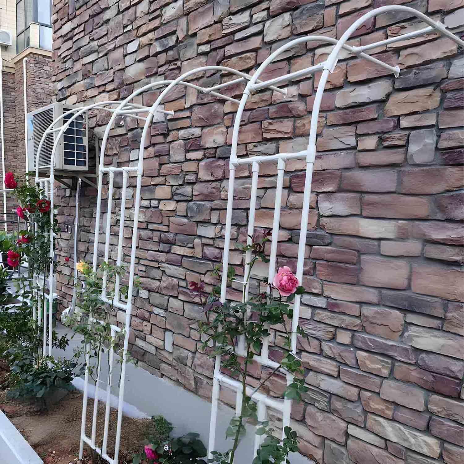 Cadre de support robuste pour plantes grimpantes évitant la casse des tiges de roses