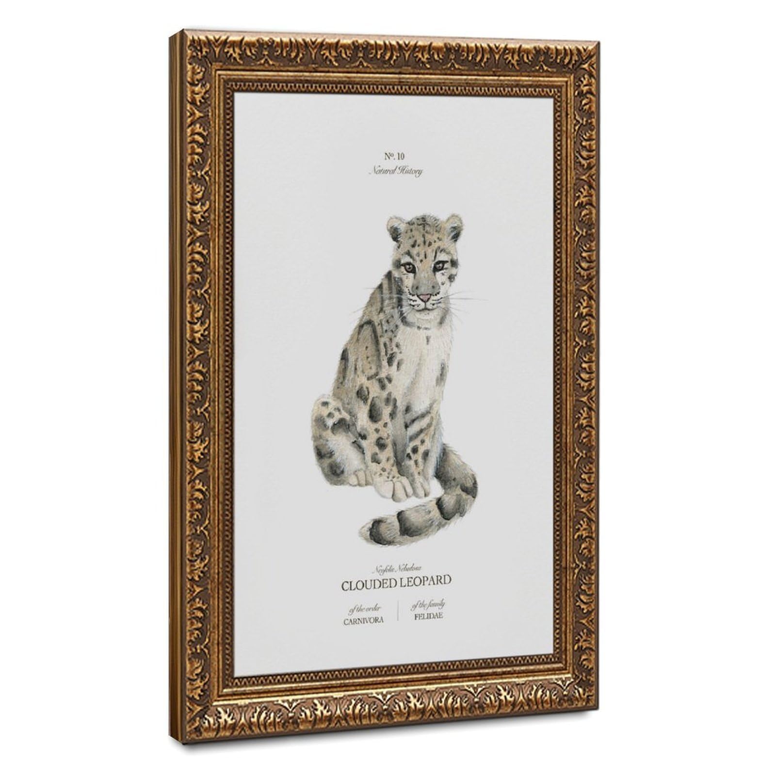 Bareronor Clouded Leopard Poster Canvas Poster Bedroom Decor Landscape Office Room Decor Gift 8" L X 12" W