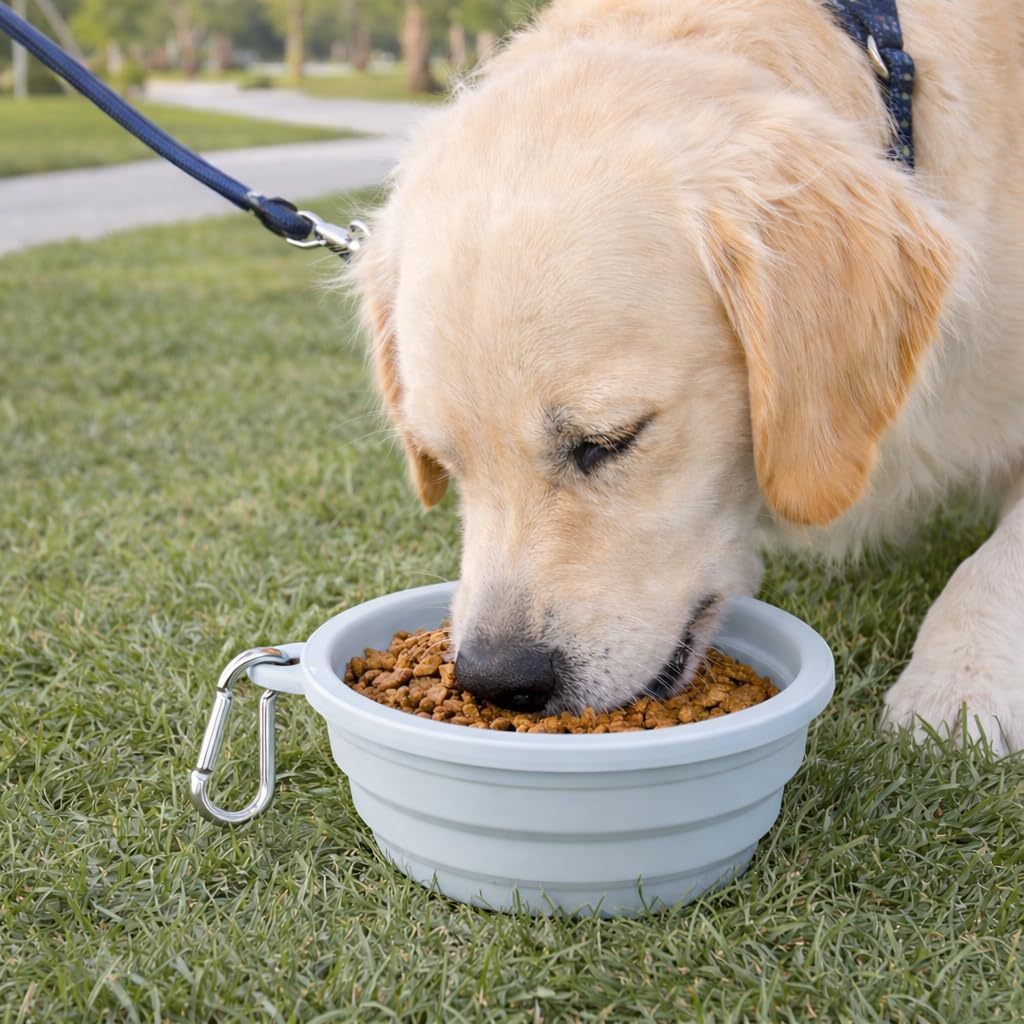 Collapsible Dog and Cat Travel Bowl with Carabiner, Portable Foldable Water and Food Dish for Walking, Camping and Car Trips