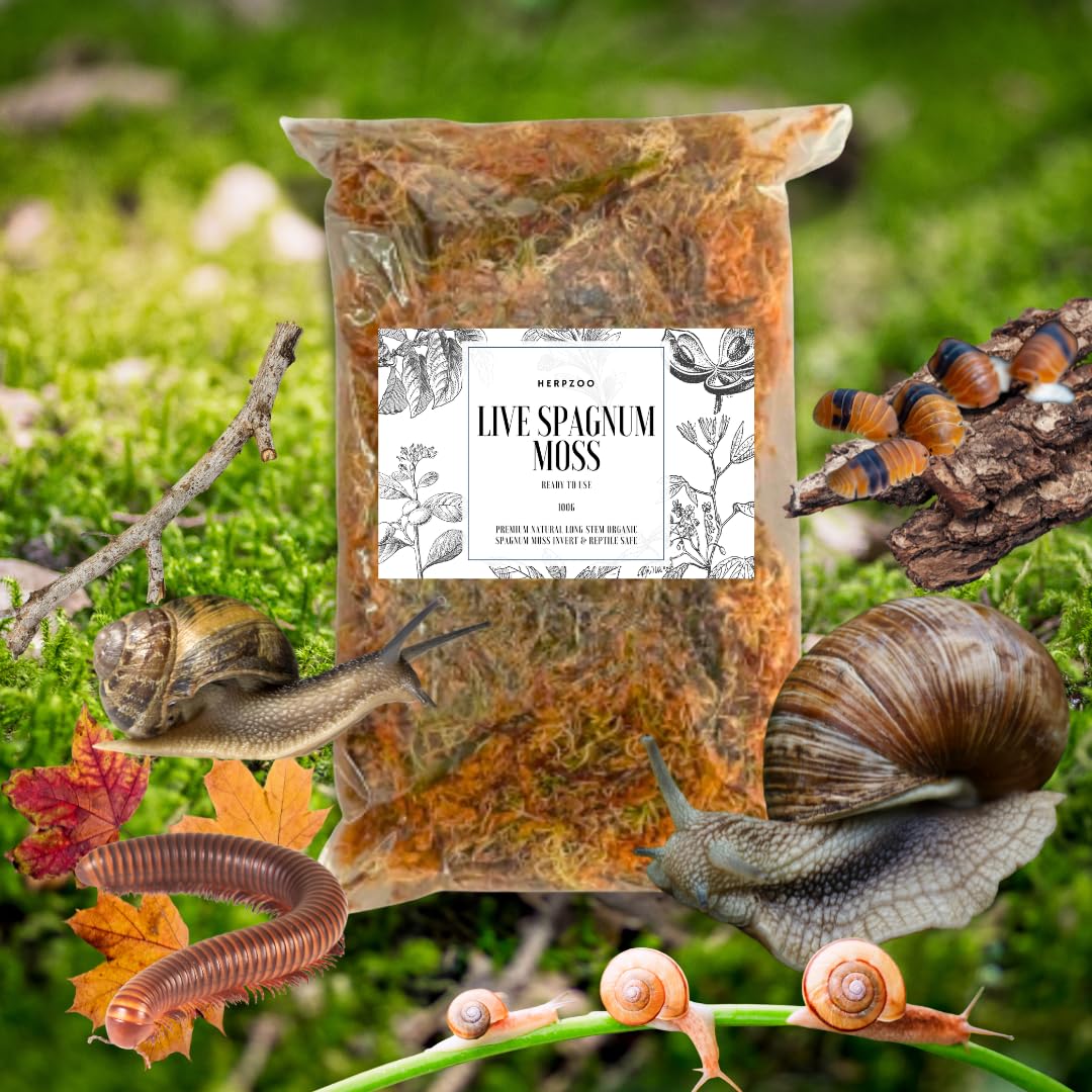 Herpzoo Live Sphagnum Moss, Natural Terrarium Substrate for Snails, Geckos, Invertebrates, Premium Humidity Control, 100g Pack
