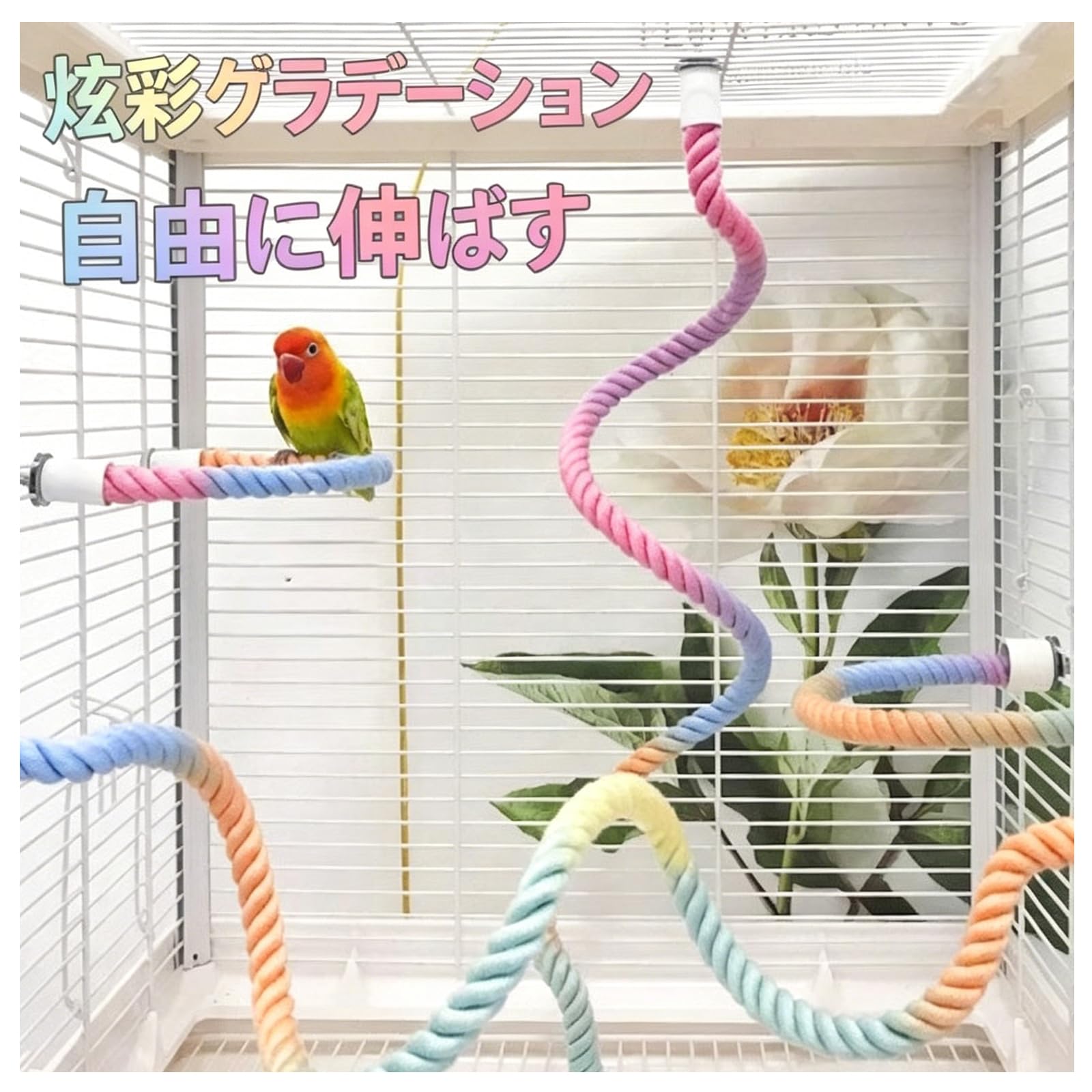 Amazon | 鳥かご用ロープ止まり木 2 本セット【40cm・80cm 各 1 本】麻