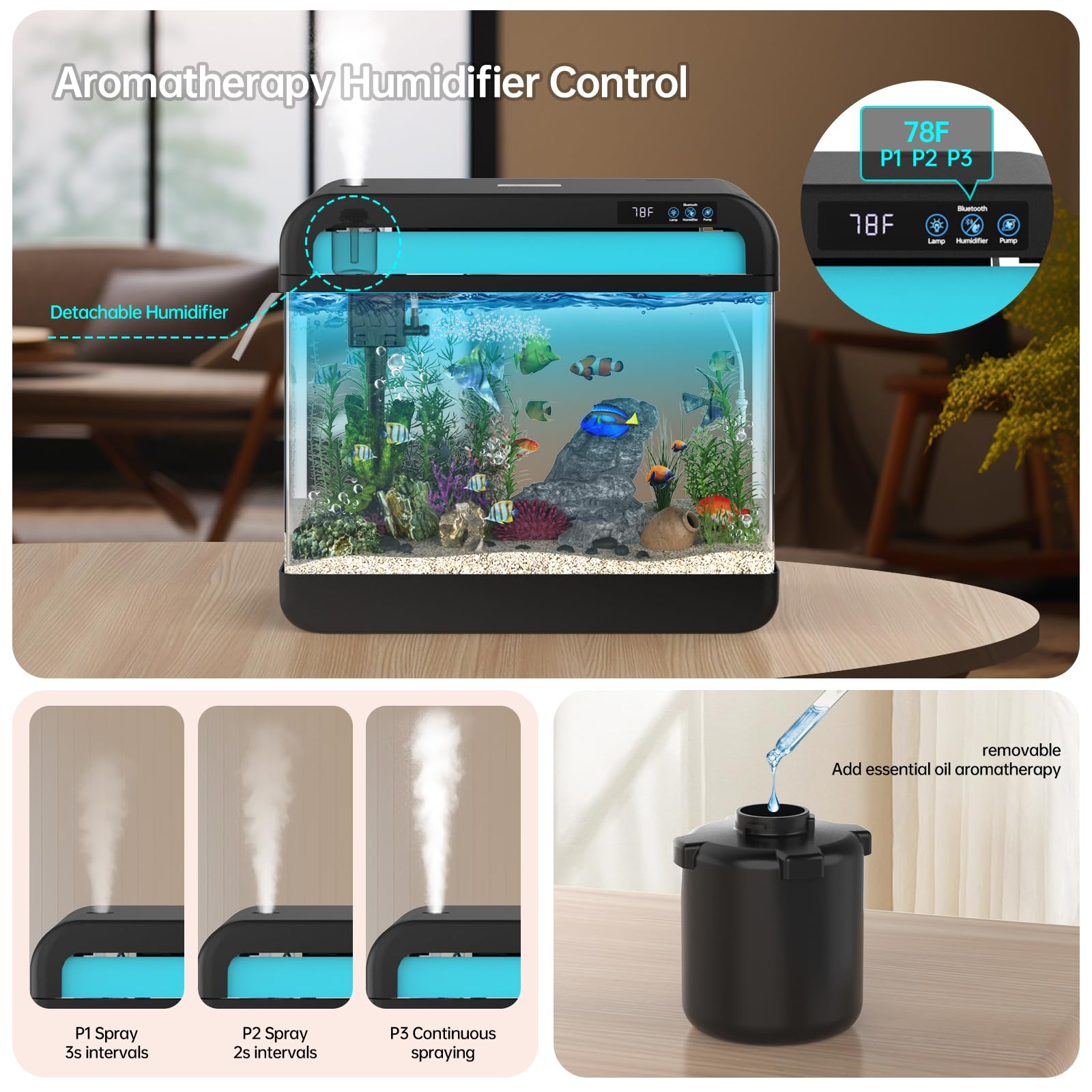 https://m.media-amazon.com/images/I/71IompFjKJL.jpg