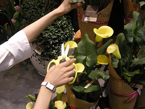 Miniatura 5 de Tijeras de flores Hand Creation F-170 (verde claro)