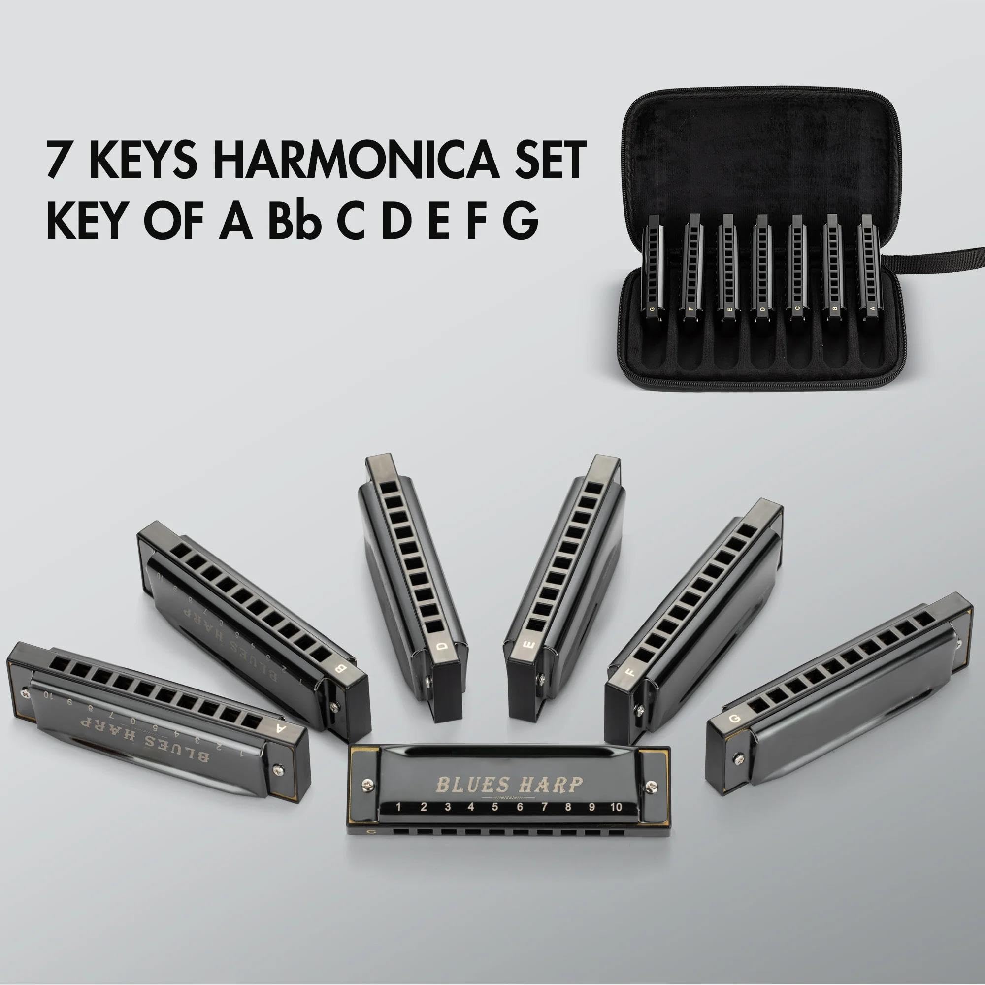 Armonica Set Di Armonica Blues A 10 Fori 7 Toni Con Custodia Per Principianti Professionisti Adulti(Black)