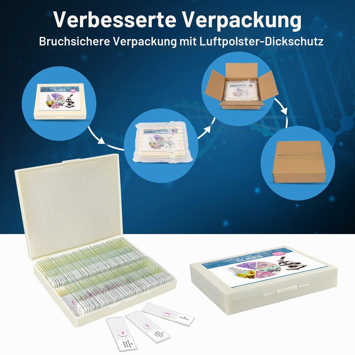 100P Mikroskop Objektträger mit biologischen Proben,Tiere, Insekten, Pflanzen, menschliches Gewebe, für Kinder, Studenten, erleuchtet die Bildung