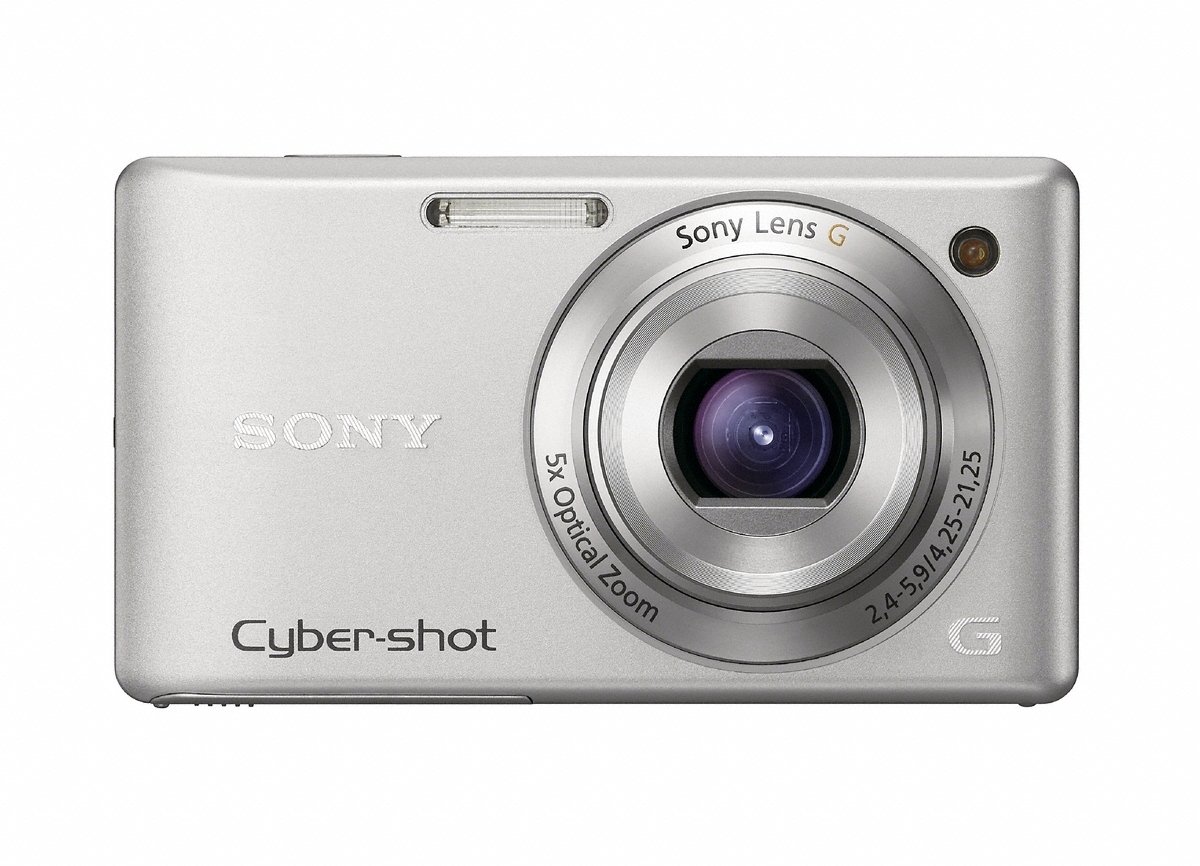 Sony DSC-W380 Cyber-shot Digital Camera - Silver (14.1 MP, 5x