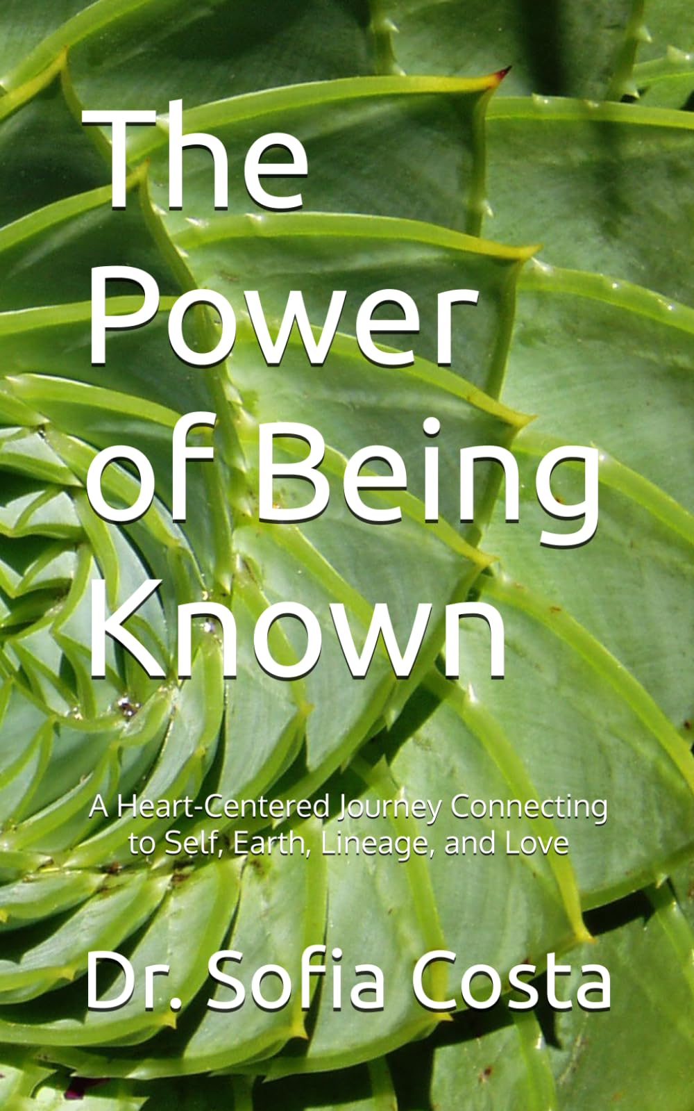 The Power of Being Known: A Heart-Centered Journey Connecting to Self, Earth, Lineage, and Love