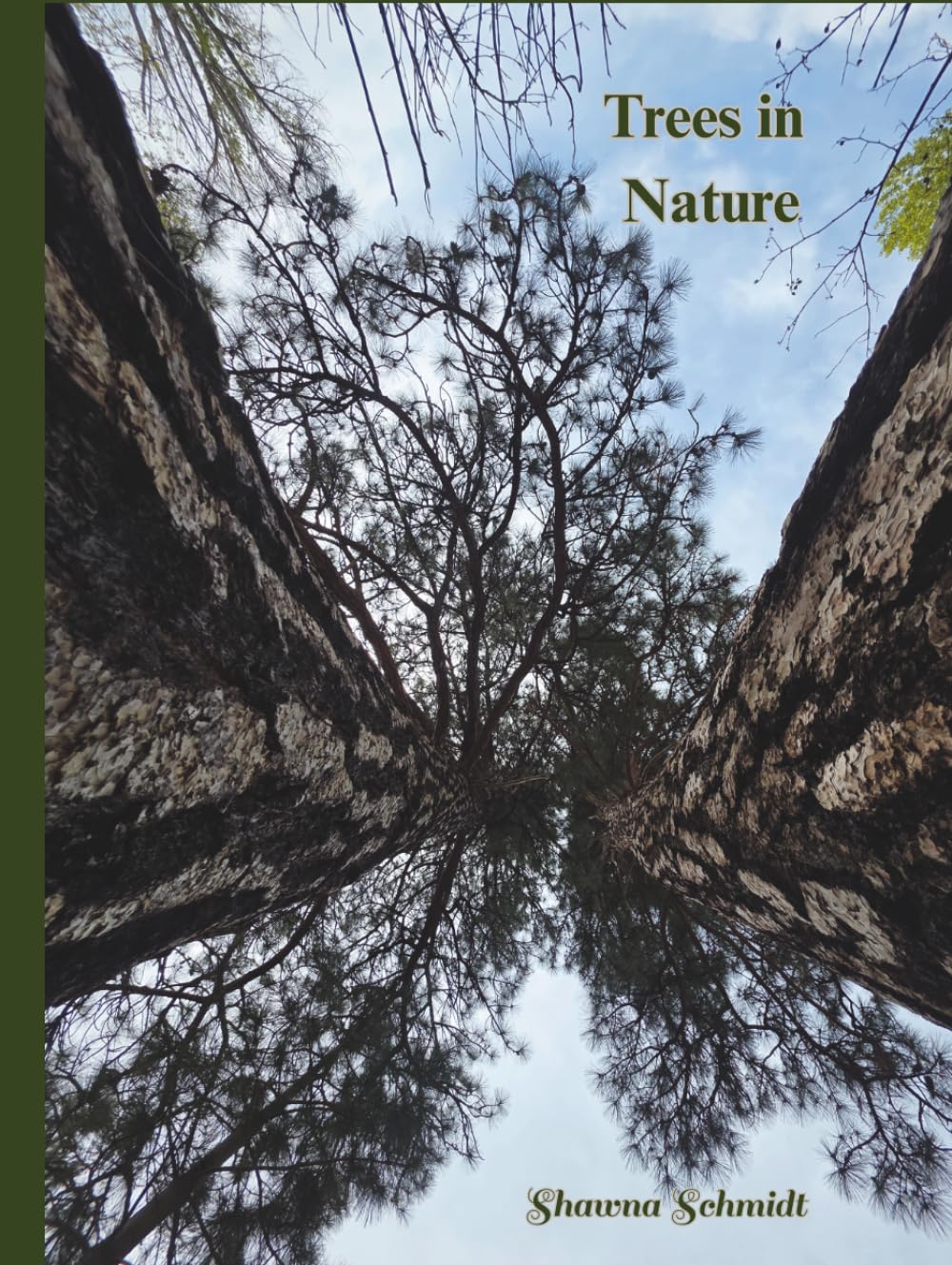 Trees in Nature: Coffee Table Book
