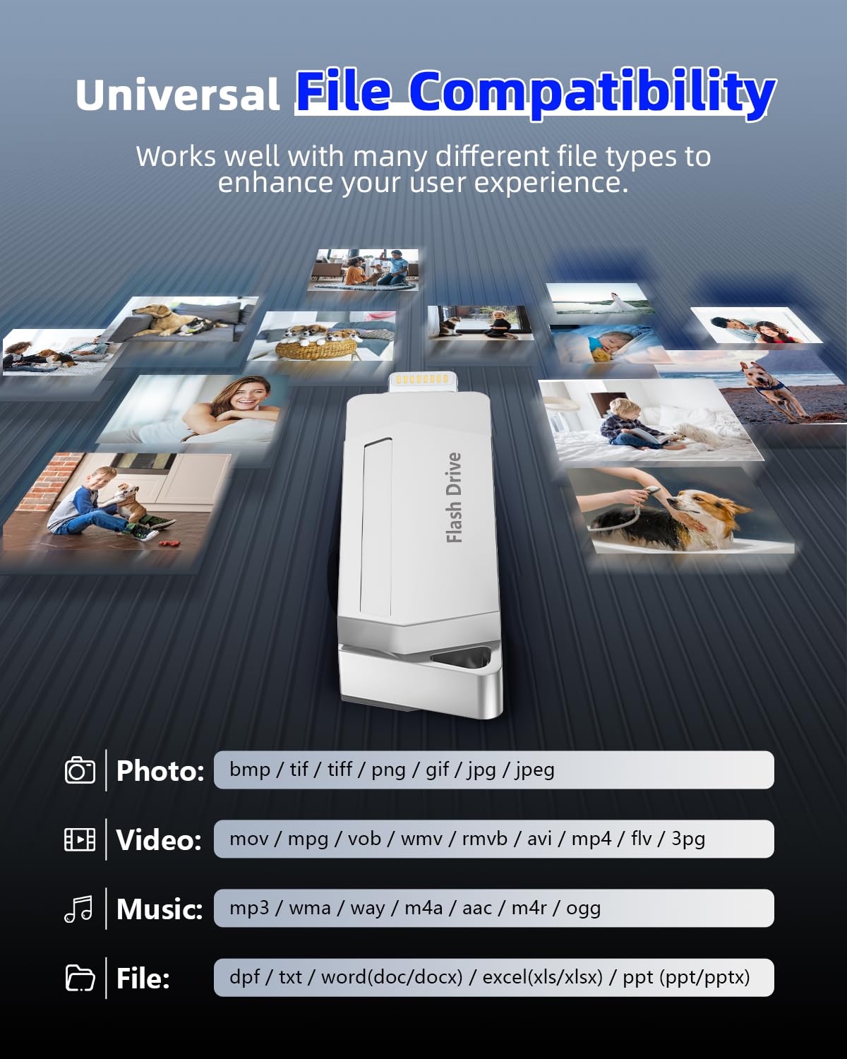 Chiavetta USB 256GB MFi Certified 3 in 1 Penna USB 3.0 Lightning chiavette USB c Photostick Pen Drive Pennetta per iPhone/iPad/iOS/Android/Mac/PC - Memoria Esterna per iPhone(Argento)