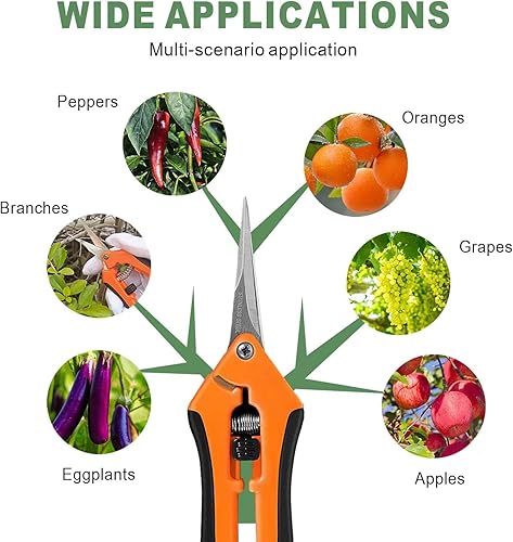 Miniatura 5 de damotec Tijeras profesionales de poda de yunque de trinquete de 8 pulgadas (LZ-DJ-011RS), mecanismo de trinquete, diseño de ranura de yunque con