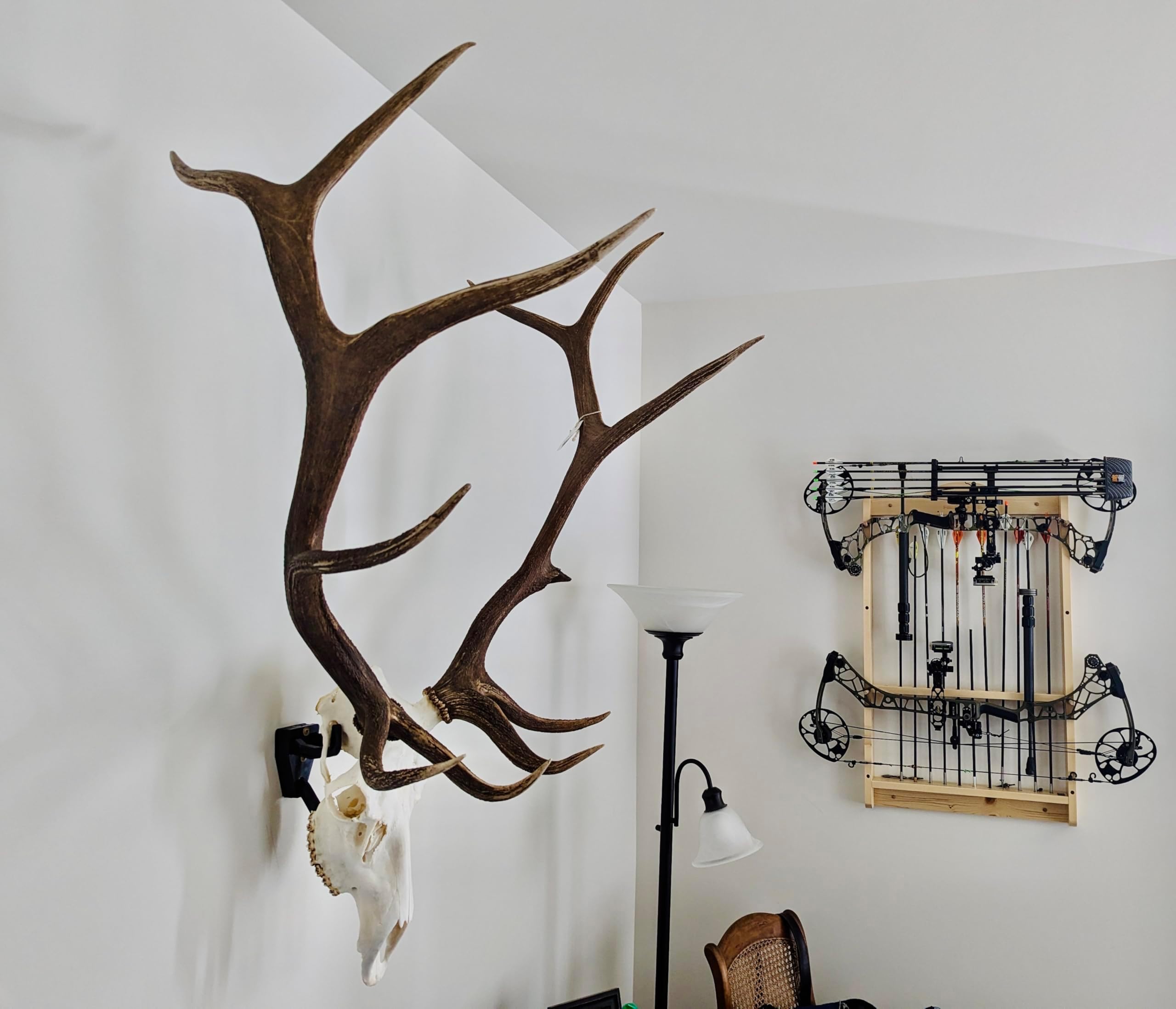 European Skull Mount Hangers Trophy Buck: Deer, Raging Bull: Elk, and Mammoth: Steer/Bison/Moose (Raging Bull Black)