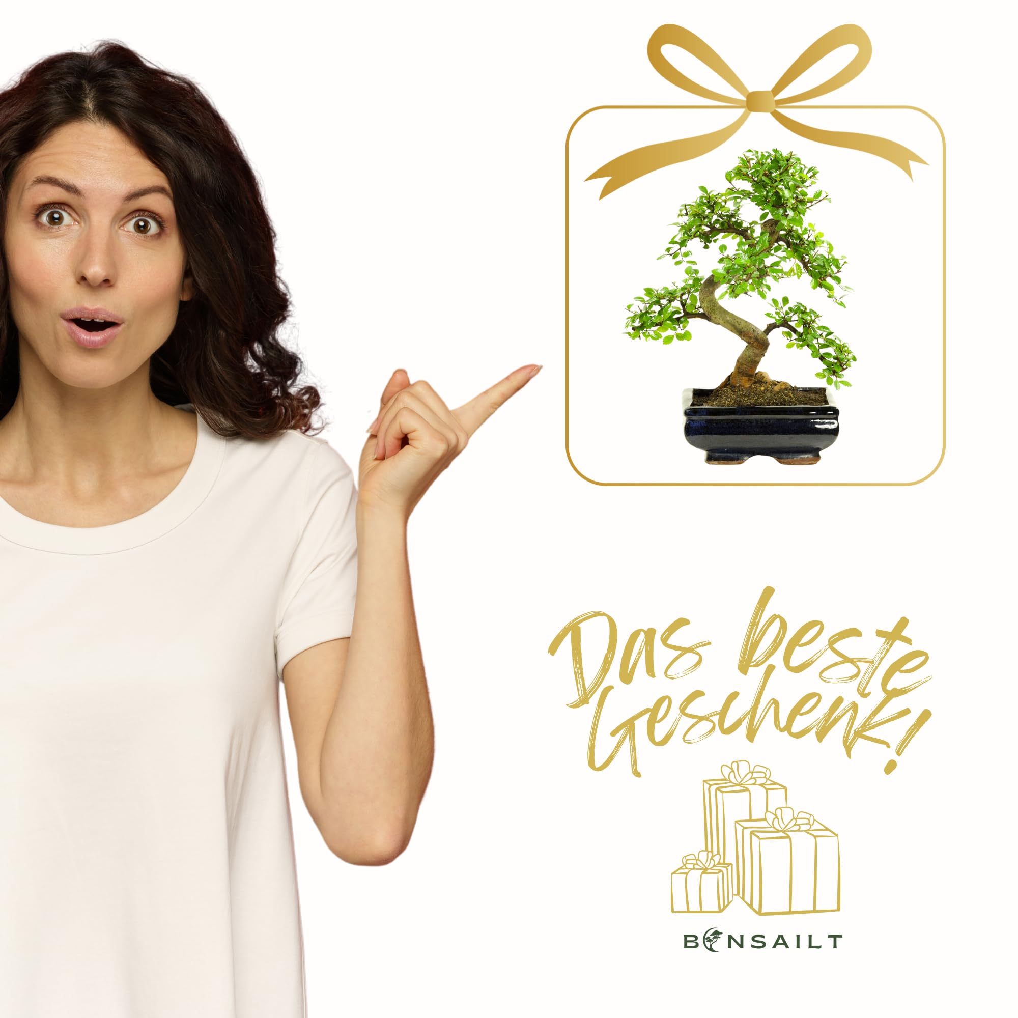 Bonsai Baum mit Keramik Blumentopf - Ligustrum, Ficus, Carmona, Podocarpus, Chinese elm - ca. 6-9 Jahre (20cm Schale ca. 8 Jahre, Chinese elm P20 S)