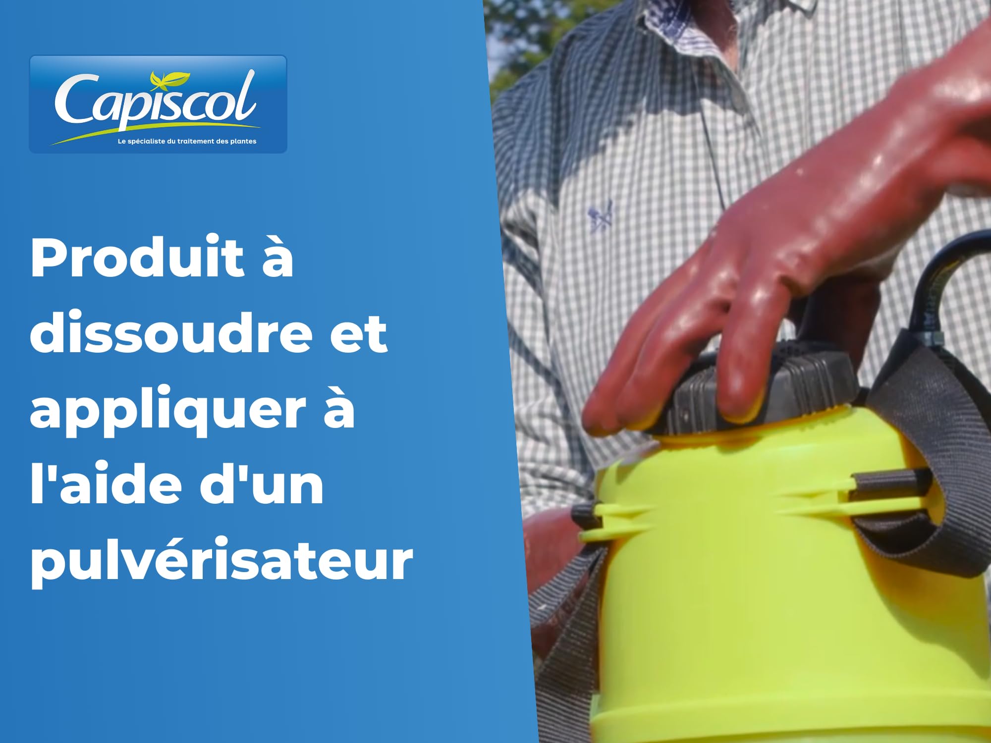 CAPISCOL Bouillie Bordelaise - Granulés - 250L de Solution - 1Kg | Fongicide Polyvalent - Préventif & Traditionnel - Mildiou, Tavelure, Cloque du Pêcher - Coloration Bleue - BB1000