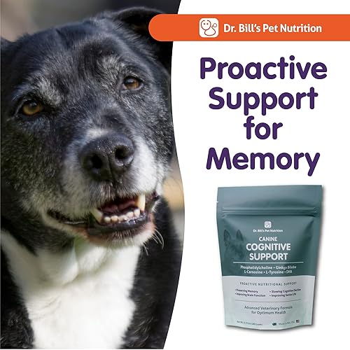 Miniatura 9 de Dr. Bill's Apoyo cognitivo canino  Suplemento de apoyo de memoria multivitamínico para perros  Contiene Gingko Biloba, L-Carnosina, Vitamina B-12,