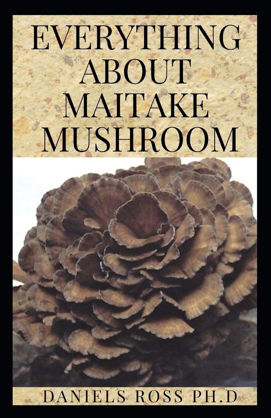 Buy Everything about Maitake Mushroom All You Need to Know About Maitake Mushroom Medicinal