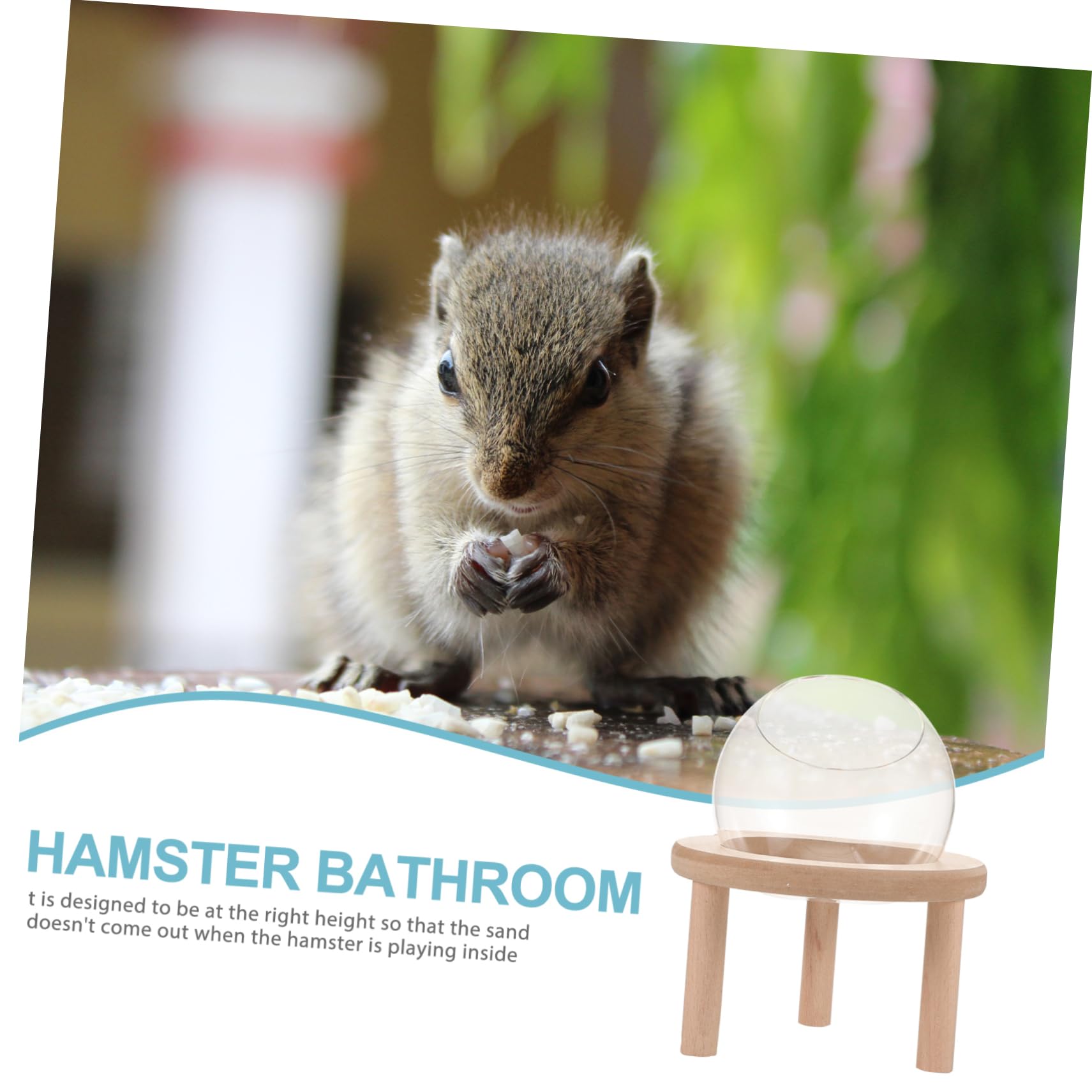 Toddmomy Transparente Sandbadewanne und Glas für Hamster und Meerschweinchen Verhindert Sandauslauf für Täglichen Gebrauch zu Hause