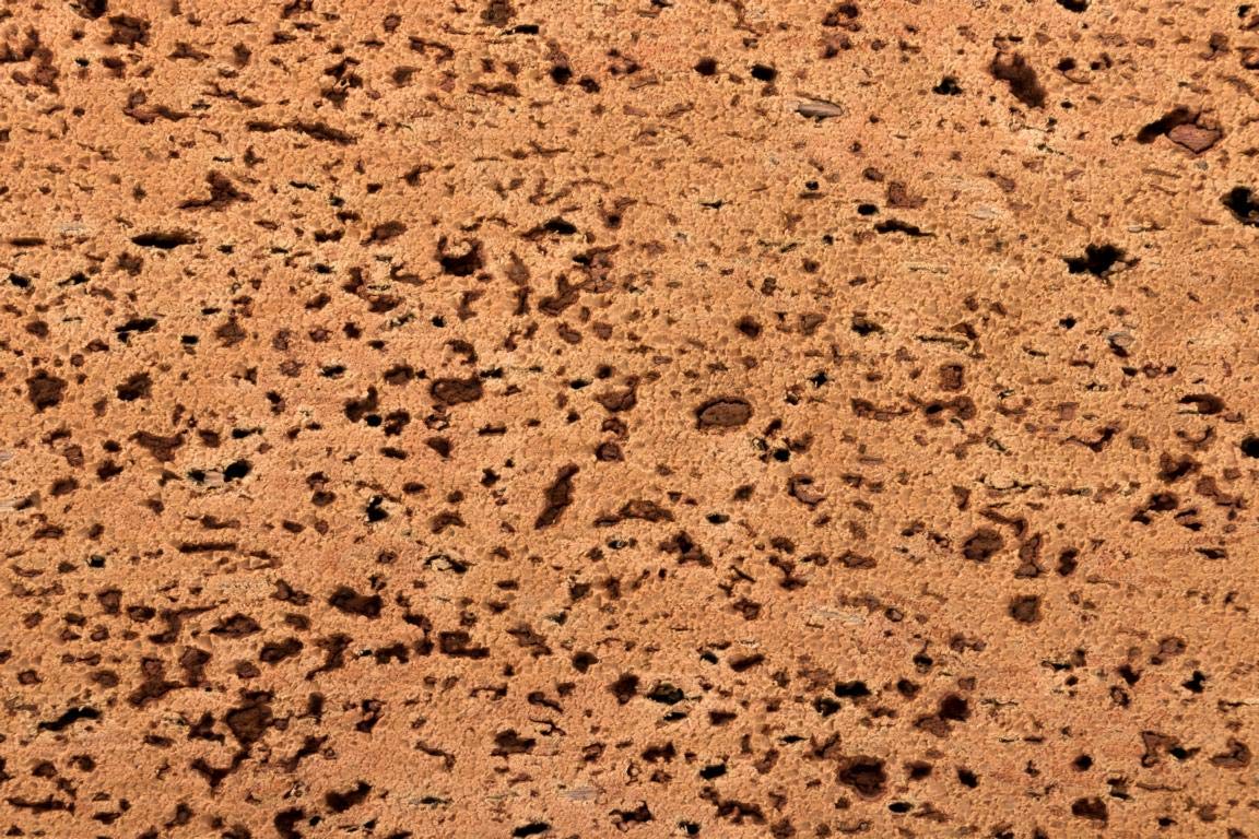 KorkDeko 3D Cork Background Wall One Piece of Cork Bark 60 x 30 cm