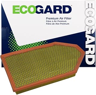 ECOGARD XA6167 Premium Engine Air Filter Fits Dodge Charger 3.6L 2011-2021, Challenger 3.6L 2011-2021, Charger 5.7L 2011-2021, Challenger 5.7L 2011-2021, Challenger 6.4L 2011-2021