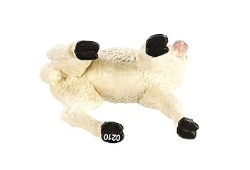 Amazon.co.jp: 225529 ﾚﾌﾟﾘｶ/ｱﾙﾊﾟｶ(仔) : おもちゃ