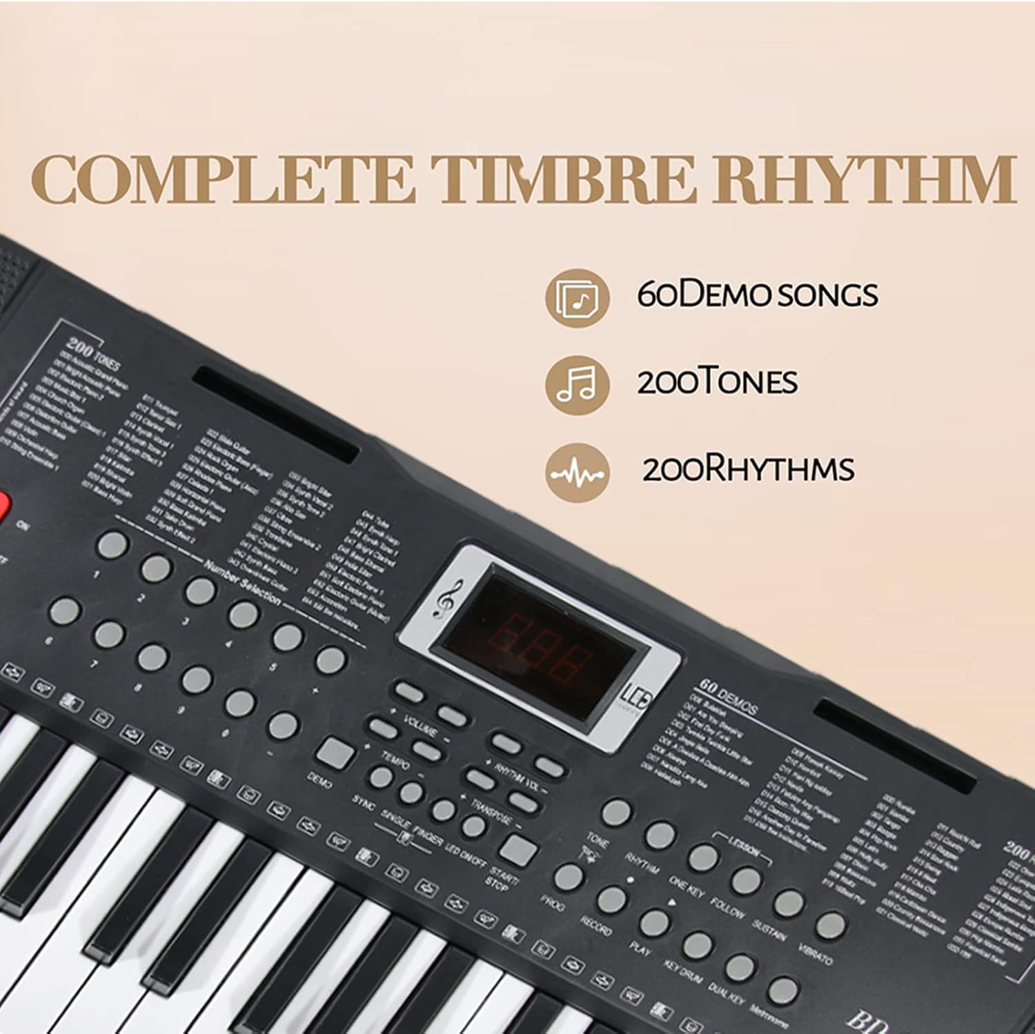 Buy LKFDFIA Keyboard Piano 61 Key Electric Piano Keyboard for Beginners